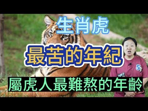 屬虎的房子座向|屬虎的人適合居住的樓層 一三六樓層吉利